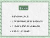 第三节 鸟的生殖和发育 课件教案
