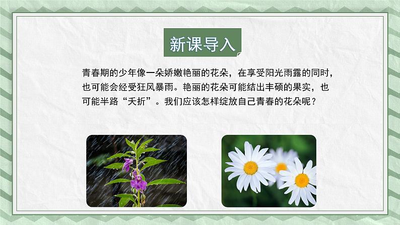 第三节 走向成熟  课件教案04