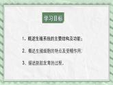 第一节 婴儿的诞生 课件教案