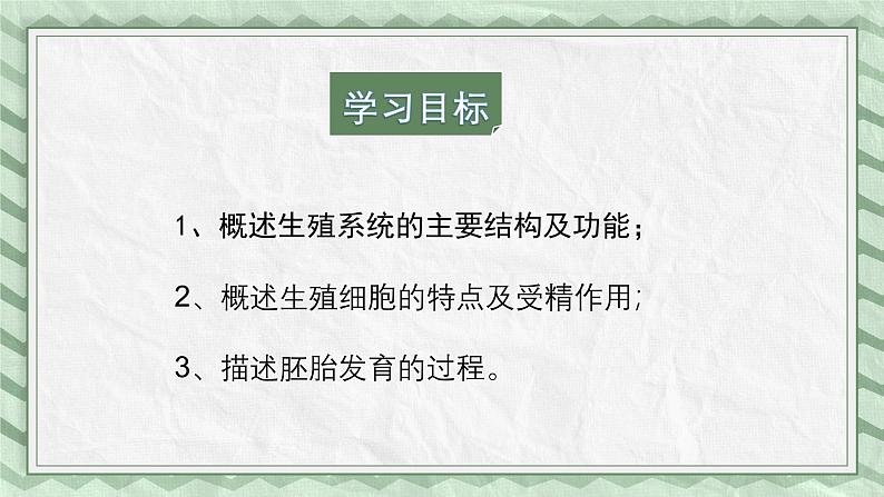 第一节 婴儿的诞生 课件第3页