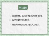 第六节 芽的类型和发育 课件教案