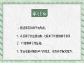 第三节 果实和种子的形成 课件教案