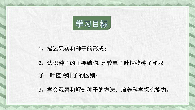 第三节 果实和种子的形成 课件第3页