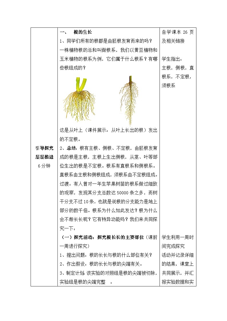第五节 根的结构和功能  教案第2页