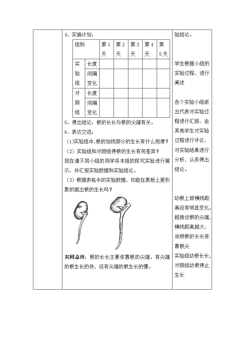 第五节 根的结构和功能  教案第3页