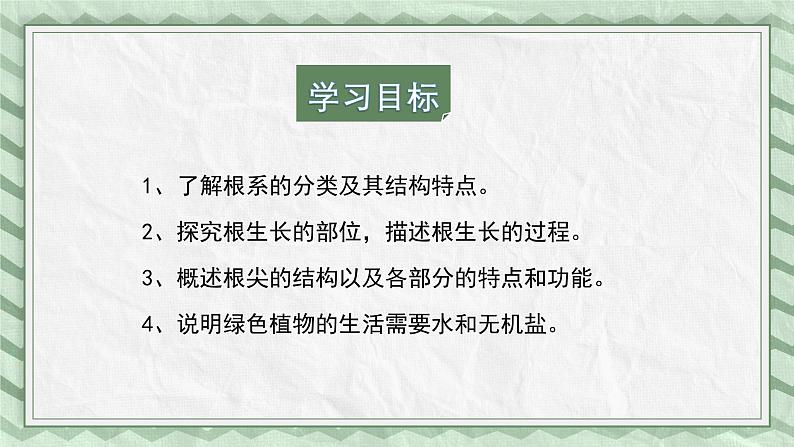 第五节 根的结构与功能 课件第3页