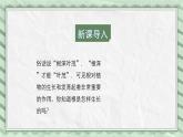 第五节 根的结构与功能 课件教案