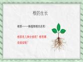 第五节 根的结构与功能 课件教案