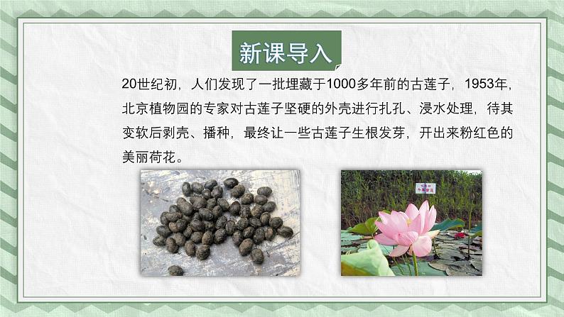 第四节 种子的萌发 课件教案04