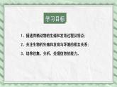 第二节 两栖动物的生殖和发育 课件教案