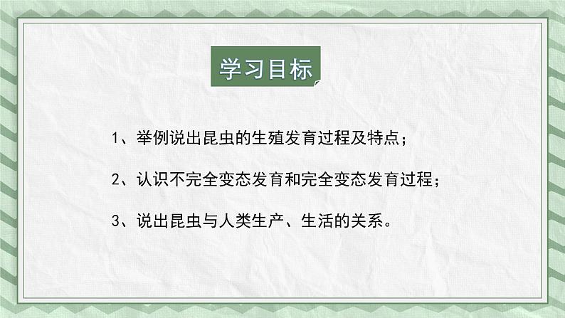 第一节 昆虫的生殖和发育 课件教案03