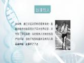 第三节 人类染色体与性别决定  课件教案