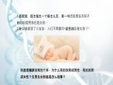 第三节 人类染色体与性别决定  课件教案