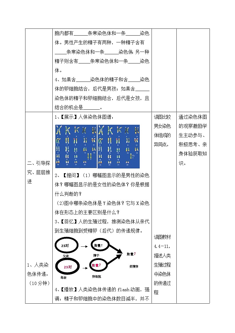 第三节 人类染色体与性别决定  课件教案03