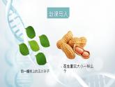 第四节 生物的变异 课件教案