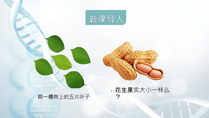 第四节 生物的变异 课件教案04