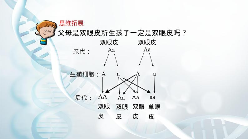 第四节 生物的变异 课件教案08