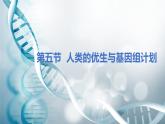 第五节 人类优生与基因组计划  课件教案