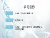 第五节 人类优生与基因组计划  课件教案