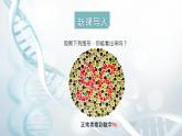 第五节 人类优生与基因组计划  课件教案