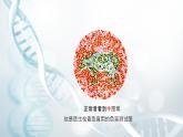 第五节 人类优生与基因组计划  课件教案