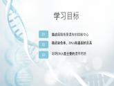 第一节 遗传的物质基础 课件教案