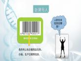 第一节 遗传的物质基础 课件教案