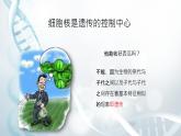 第一节 遗传的物质基础 课件教案