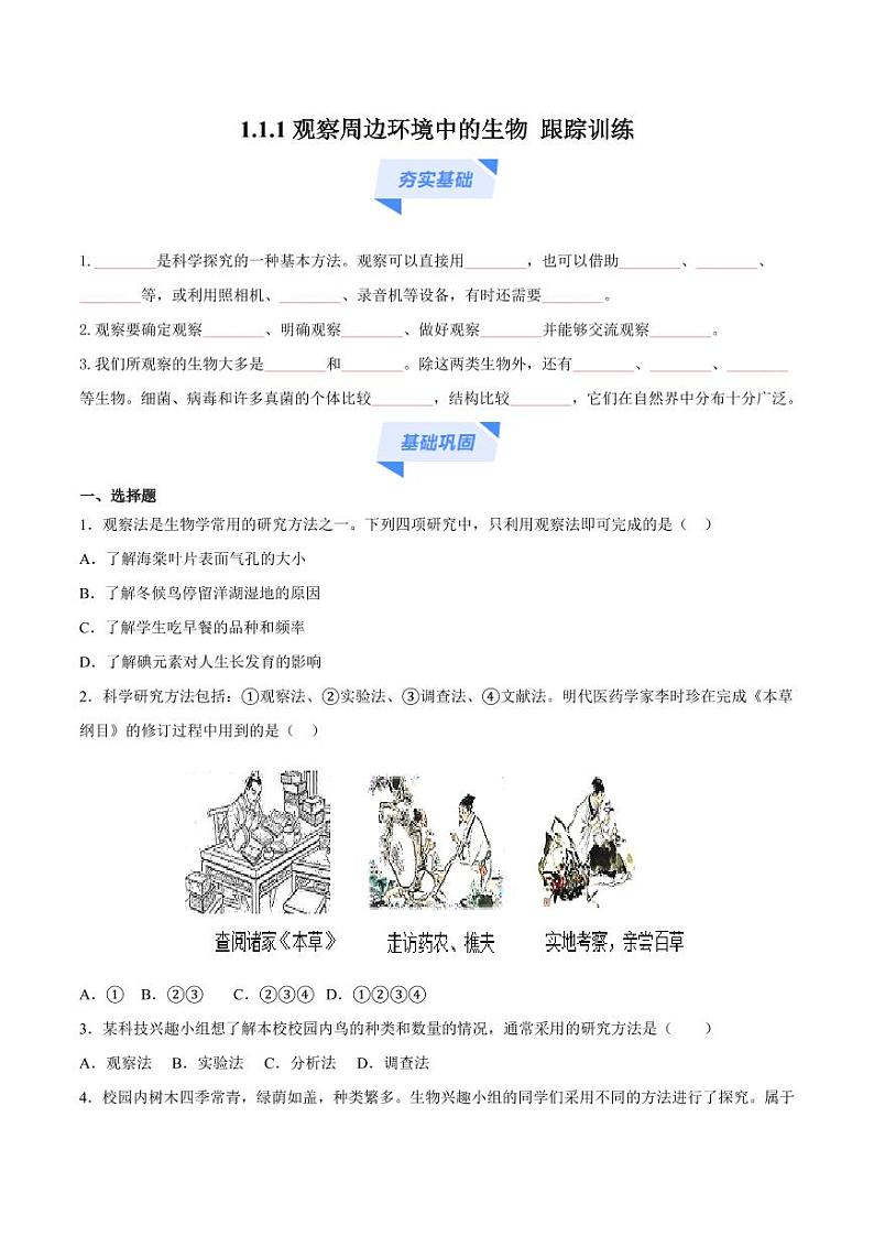 1.1.1 观察周边环境中的生物（跟踪训练）（含答案） 2024-2025学年七年级生物上学期同步课件+分层练（2024人教版）01