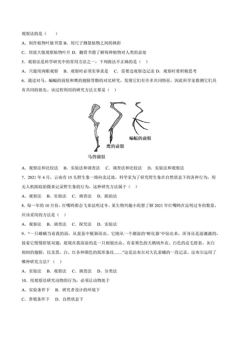 1.1.1 观察周边环境中的生物（跟踪训练）（含答案） 2024-2025学年七年级生物上学期同步课件+分层练（2024人教版）02