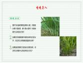1.1.1 观察周边环境中的生物（跟踪训练）（含答案） 2024-2025学年七年级生物上学期同步课件+分层练（2024人教版）