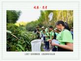 1.1.1 观察周边环境中的生物（跟踪训练）（含答案） 2024-2025学年七年级生物上学期同步课件+分层练（2024人教版）