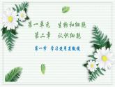 1.2.1 学习使用显微镜（跟踪训练）（含答案） 2024-2025学年七年级生物上学期同步课件+分层练（2024人教版）
