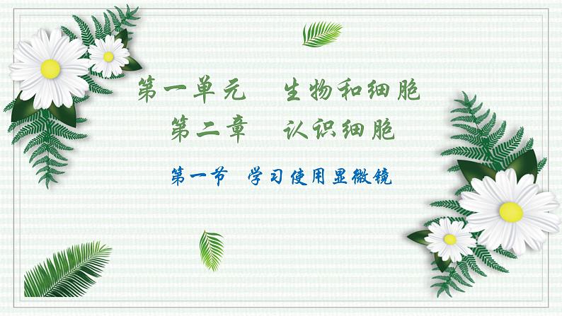 1.2.1 学习使用显微镜（跟踪训练）（含答案） 2024-2025学年七年级生物上学期同步课件+分层练（2024人教版）01