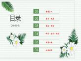 1.2.1 学习使用显微镜（跟踪训练）（含答案） 2024-2025学年七年级生物上学期同步课件+分层练（2024人教版）