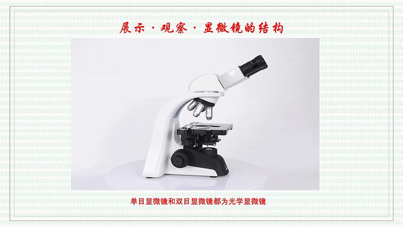 1.2.1 学习使用显微镜（跟踪训练）（含答案） 2024-2025学年七年级生物上学期同步课件+分层练（2024人教版）04