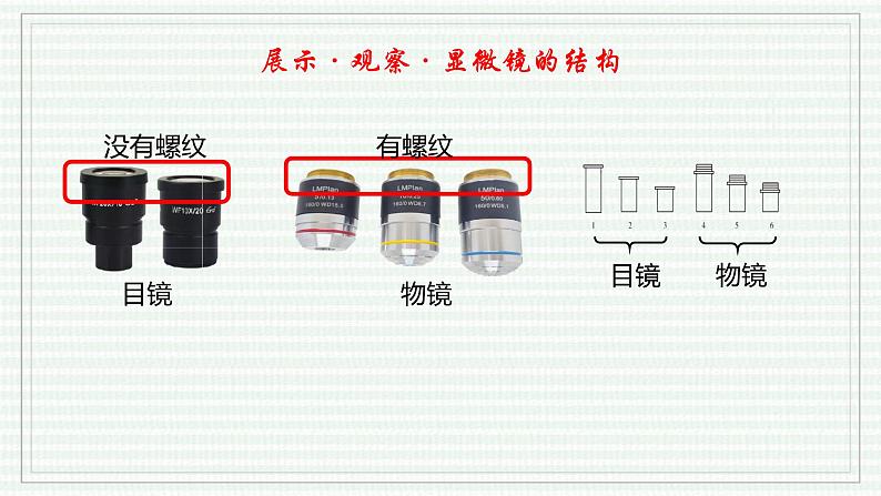 1.2.1 学习使用显微镜（跟踪训练）（含答案） 2024-2025学年七年级生物上学期同步课件+分层练（2024人教版）07