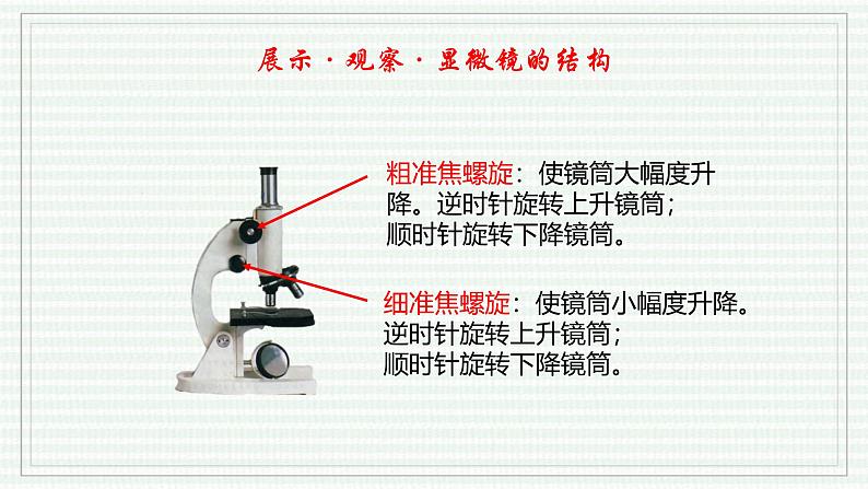 1.2.1 学习使用显微镜（跟踪训练）（含答案） 2024-2025学年七年级生物上学期同步课件+分层练（2024人教版）08