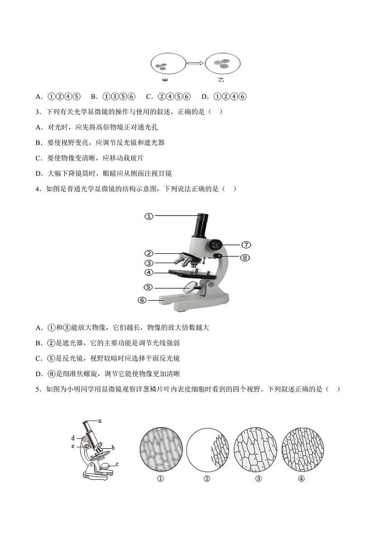 1.2.1 学习使用显微镜（跟踪训练）（含答案） 2024-2025学年七年级生物上学期同步课件+分层练（2024人教版）02