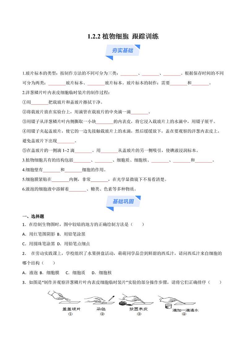 1.2.2 植物细胞（跟踪训练）（含答案） 2024-2025学年七年级生物上学期同步课件+分层练（2024人教版）01