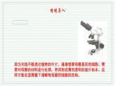 1.2.2 植物细胞（跟踪训练）（含答案） 2024-2025学年七年级生物上学期同步课件+分层练（2024人教版）
