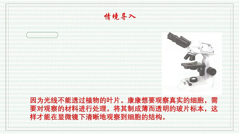 1.2.2 植物细胞（跟踪训练）（含答案） 2024-2025学年七年级生物上学期同步课件+分层练（2024人教版）03