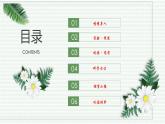 1.2.3 动物细胞（跟踪训练）（含答案） 2024-2025学年七年级生物上学期同步课件+分层练（2024人教版）