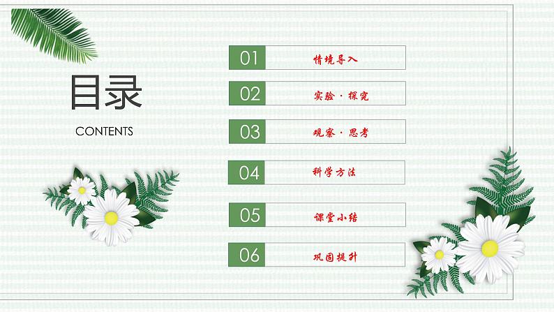 1.2.3 动物细胞（跟踪训练）（含答案） 2024-2025学年七年级生物上学期同步课件+分层练（2024人教版）02