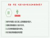 1.2.3 动物细胞（跟踪训练）（含答案） 2024-2025学年七年级生物上学期同步课件+分层练（2024人教版）