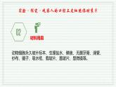 1.2.3 动物细胞（跟踪训练）（含答案） 2024-2025学年七年级生物上学期同步课件+分层练（2024人教版）