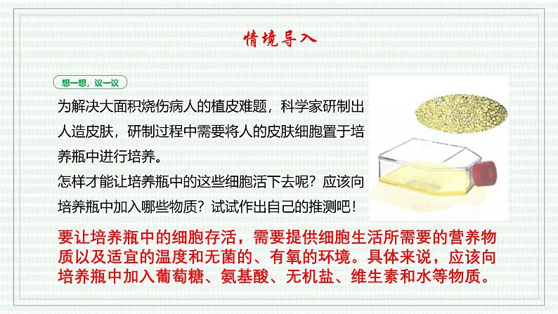 1.2.4 细胞的生活（跟踪训练）（含答案） 2024-2025学年七年级生物上学期同步课件+分层练（2024人教版）03