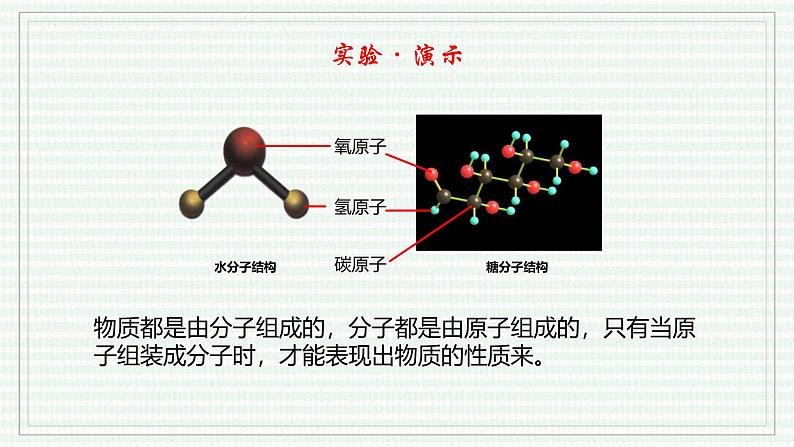 1.2.4 细胞的生活（跟踪训练）（含答案） 2024-2025学年七年级生物上学期同步课件+分层练（2024人教版）04