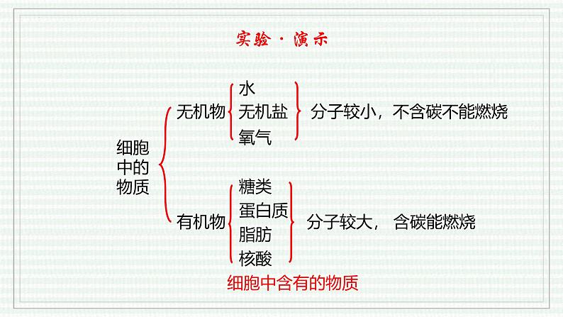 1.2.4 细胞的生活（跟踪训练）（含答案） 2024-2025学年七年级生物上学期同步课件+分层练（2024人教版）06