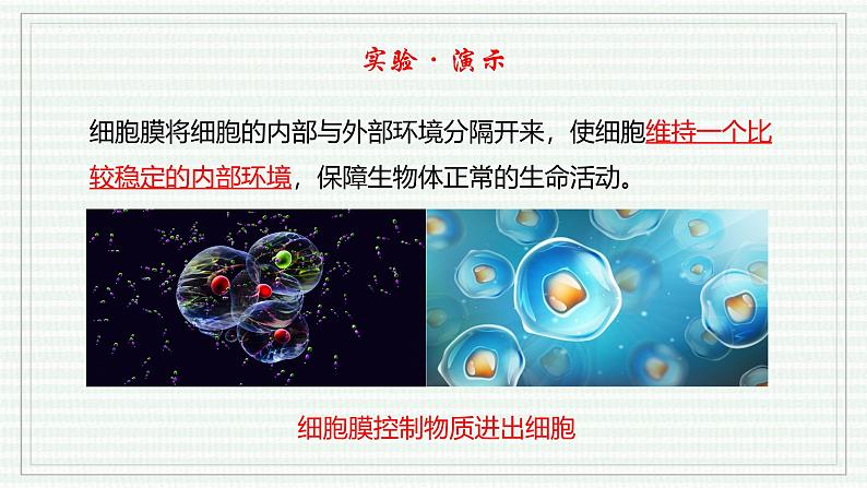 1.2.4 细胞的生活（跟踪训练）（含答案） 2024-2025学年七年级生物上学期同步课件+分层练（2024人教版）08